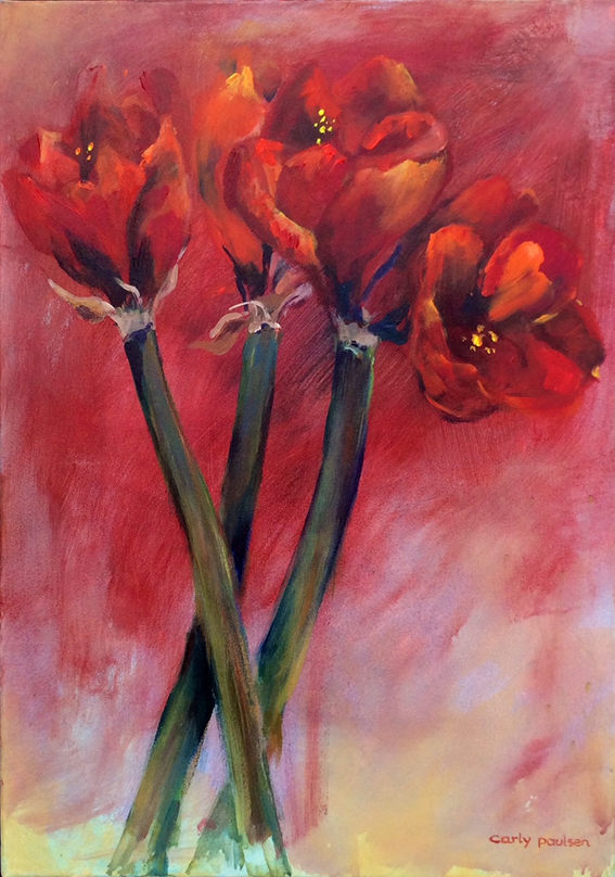 amaryllis